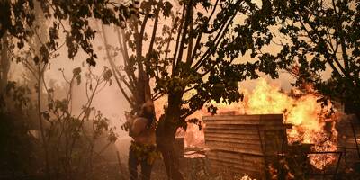 Nouvelle vague d'incendies en Grèce, vingt morts en deux jours