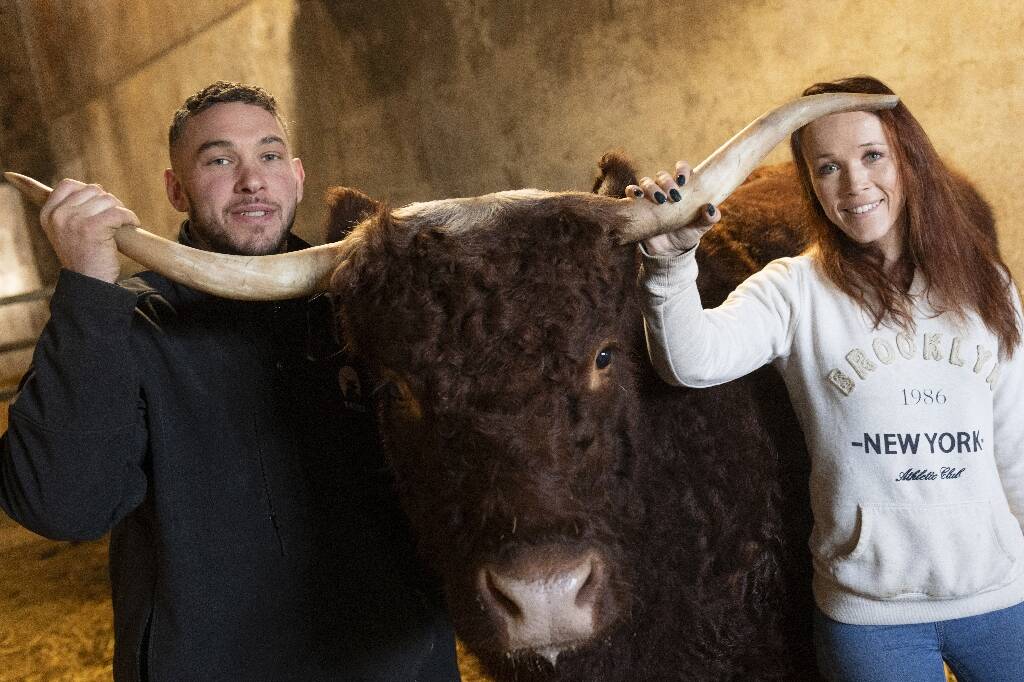 Voici "Ovalie", la vache égérie et star du salon de l'Agriculture, qui débute samedi