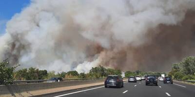 Violents feux de forêt dans le sud: l'incendie du Gard 