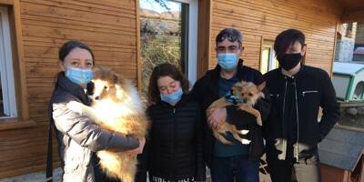 Devenue aveugle subitement, une adolescente aide un chien atteint de cécité à trouver une famille