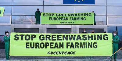 Greenwashing: les eurodéputés veulent faire le ménage sur les étiquettes