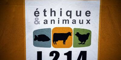 La justice va enquêter sur un abattoir de Mayenne après une plainte de L214