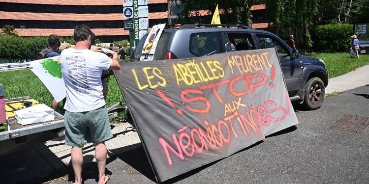 Réintroduction d'un pesticide, stockage de l'eau, agrandissement des élevages intensifs: des milliers d'opposants à la loi Duplomb mobilisés ce weekend en France