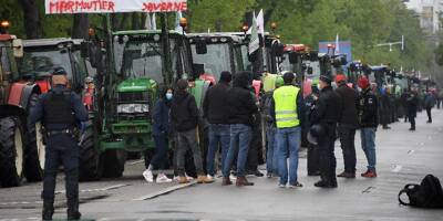 Pourquoi plus de mille tracteurs étaient réunis devant le Parlement européen à Strasbourg