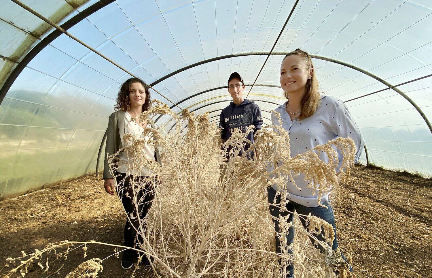 Ces deux Varoises cuisinent les fruits et légumes qui ne trouvent pas d'acheteurs et sensibilisent au gaspillage alimentaire
