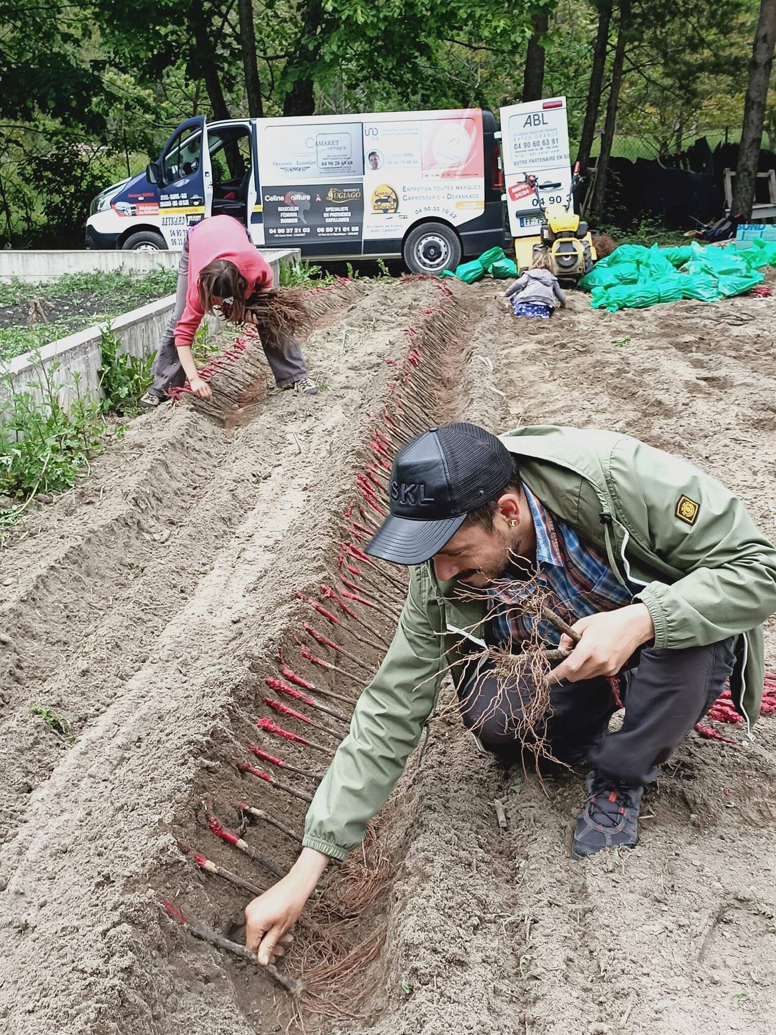 Il offre des milliers de pieds de vigne pour ressusciter le vignoble du village de La Brigue disparu il y a plus de 60 ans