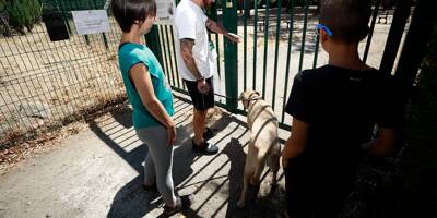 Le seul parc pour chiens d'Antibes ne rouvrira pas tout de suite, on vous explique le problème
