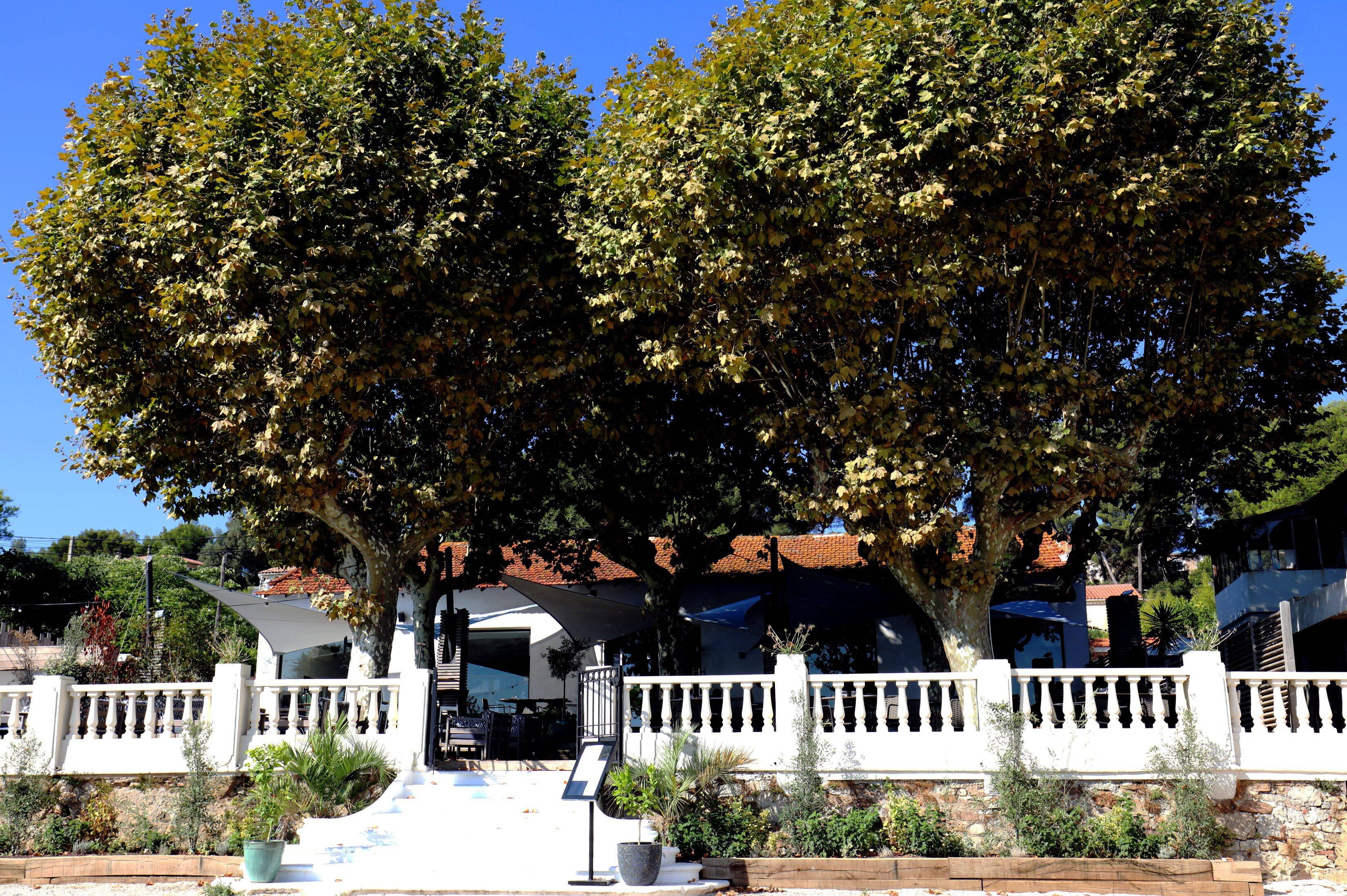 Restaurant Le Pere Louis La Seyne Sur Mer Le restaurant du coin fait trop de bruit, un quartier de La Seyne au bord  de l'exaspération - Var-Matin