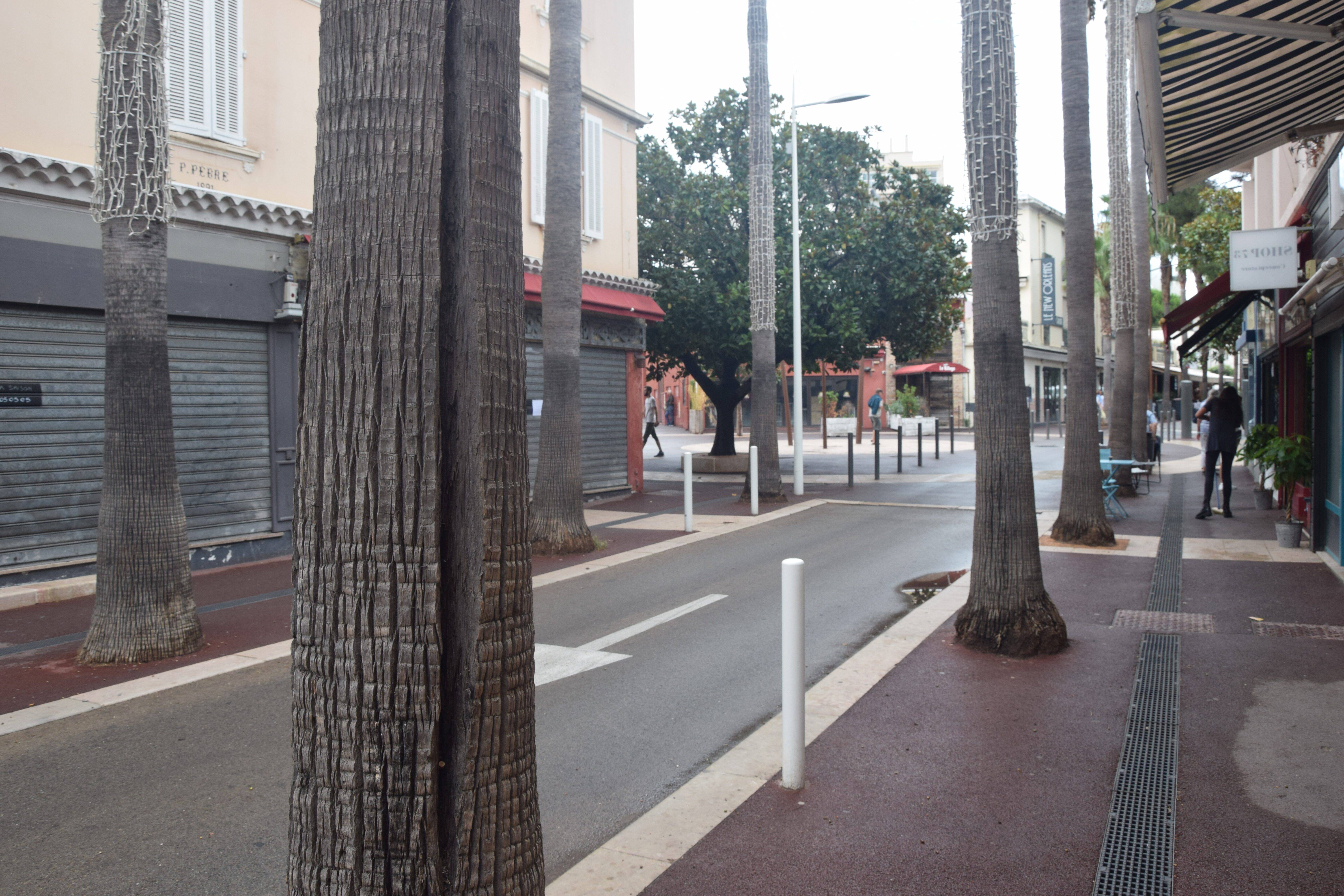 Les travaux du centre de Juan-les-Pins ont-ils fissuré des palmiers?
