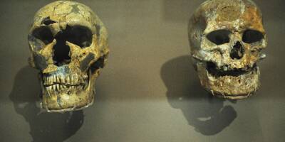 Homo sapiens est arrivé en Europe bien plus tôt que rapporté