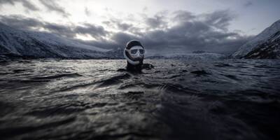 Dans les eaux glacées de Norvège, l'apnéiste Guérin-Boëri danse avec les orques