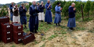 Dans le Ventoux, des vendanges de moines en soutane pour un vin équitable