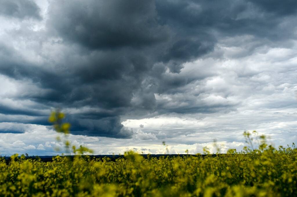 Ce que l'on sait après le crash du jet privé dans la mer Baltique