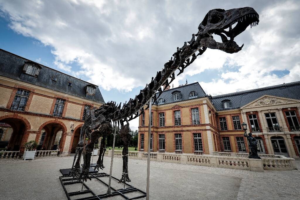 Le plus grand dinosaure jamais mis aux enchères exposé dans un château des Yvelines