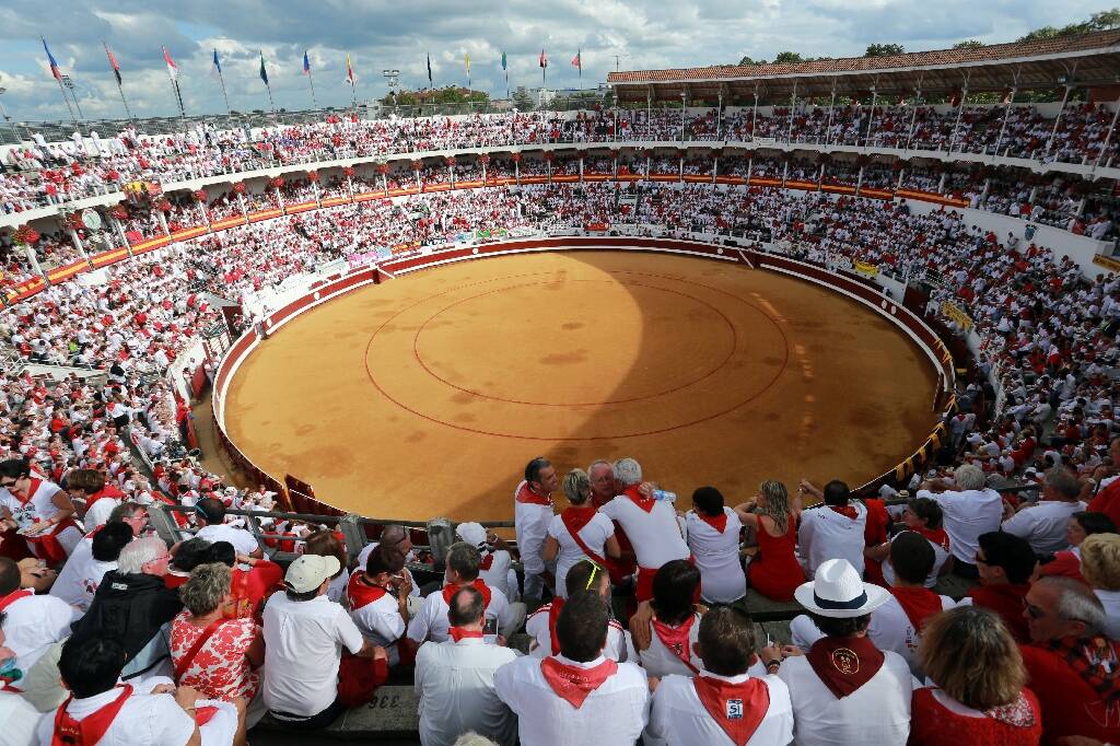 Le député LFI Aymeric Caron veut faire interdire les corridas en France, une proposition de loi en préparation