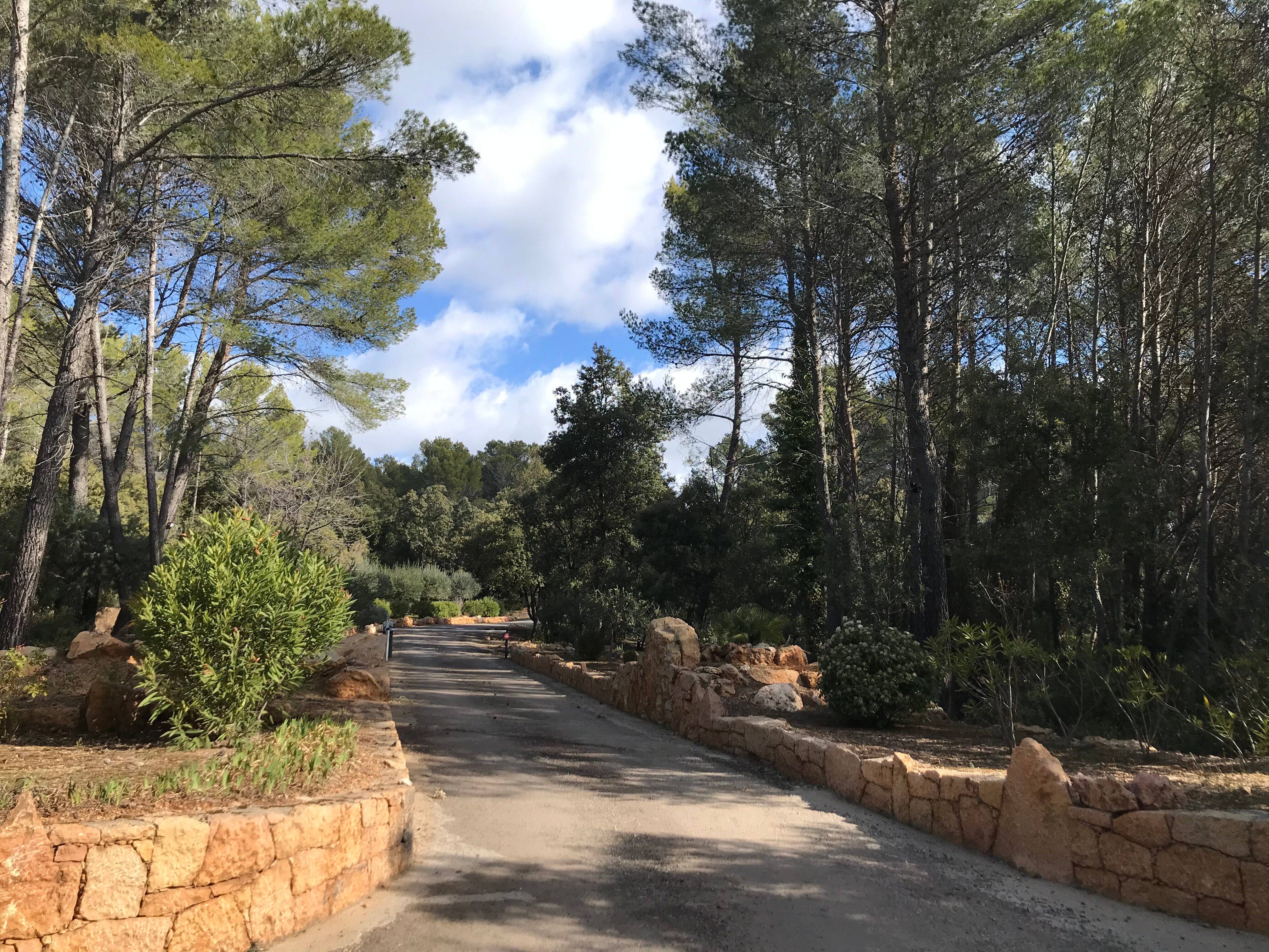 L'Octopus baisse le son à Draguignan: il n'y aura pas de festival caribéen début juin