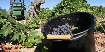 Bientôt un Cru pour les Côtes de Provence qui veulent monter en gamme?