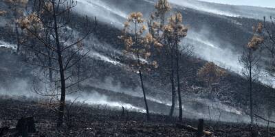 Plus de 300 hectares brûlés, on fait le point sur les deux violents incendies en Bretagne