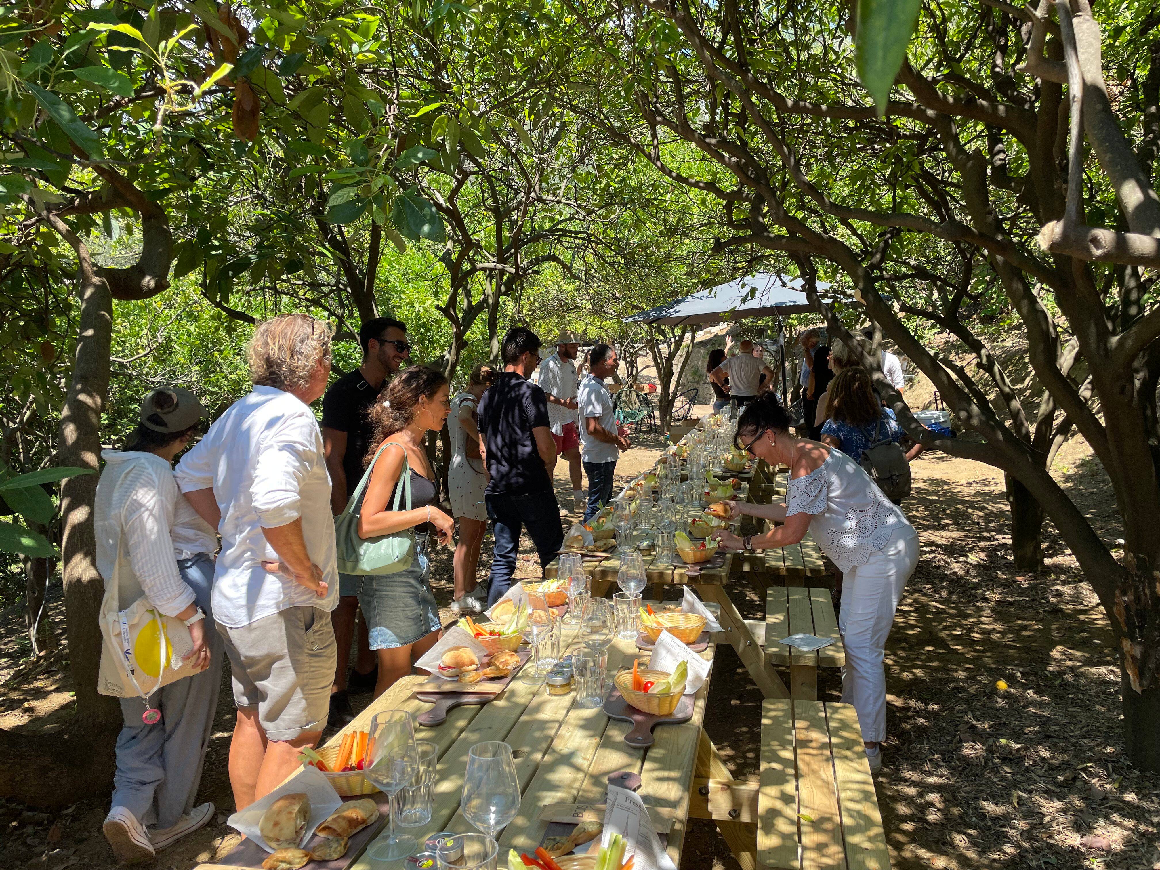 On a testé pour vous (et en avant-première) le pique-nique "Au pays du citron" à Menton