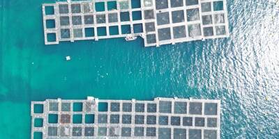 Un projet de ferme aquacole de 24.000 m² entre Golfe-Juan et Cannes sème la discorde