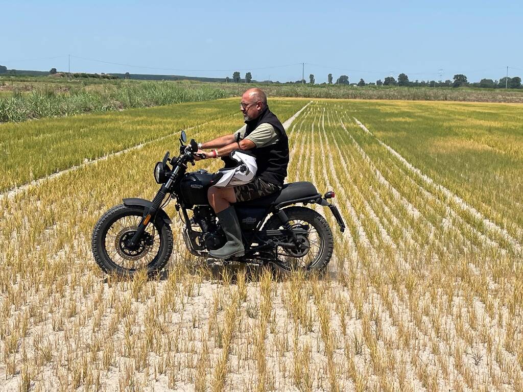 L’Italie également touchée par une terrible secéresse, les rizières du “triangolo d’oro” decimées