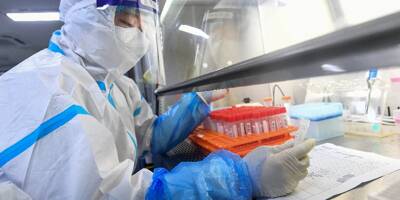 Origine du coronavirus: la Chine s'oppose à une nouvelle enquête de l'OMS sur son sol