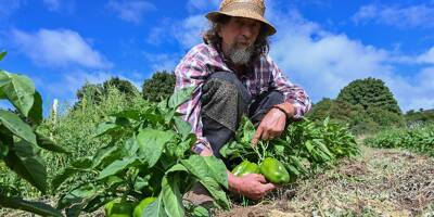 Des agriculteurs du sud de la France sur de nouvelles pistes pour contrer la sécheresse