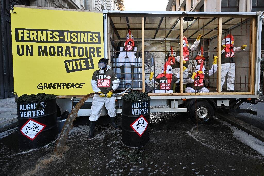 Contre les "fermes-usines", Greenpeace déverse du lisier devant le ministère de l'Agriculture et plusieurs préfectures