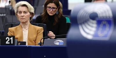 La présidente de la Commission européenne Ursula von der Leyen retire un texte réduisant l'usage des pesticides