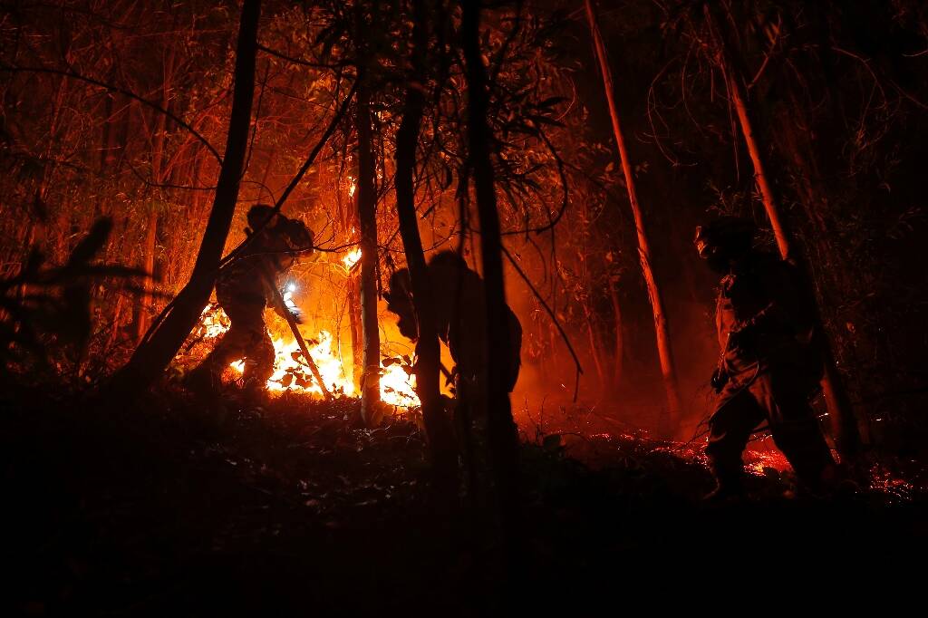 23 morts dans des incendies de forêts au Chili, selon un nouveau bilan