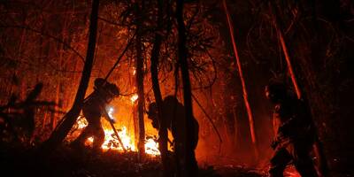 23 morts dans des incendies de forêts au Chili, selon un nouveau bilan