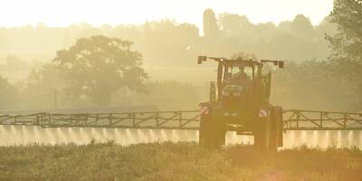 Ecophyto: le gouvernement présente ce lundi sa nouvelle stratégie pour réduire les pesticides