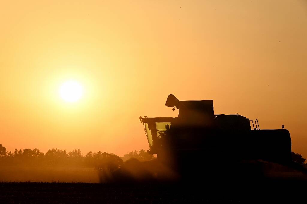 Agriculture: le Parlement adopte la loi Duplomb et la réintroduction sous conditions d'un pesticide