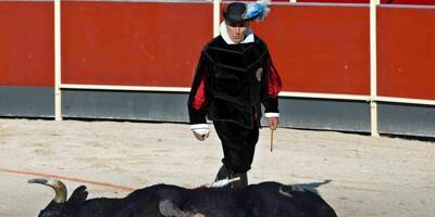 Le tribunal administratif s'oppose au retour de la corrida dans une commune de l'Hérault