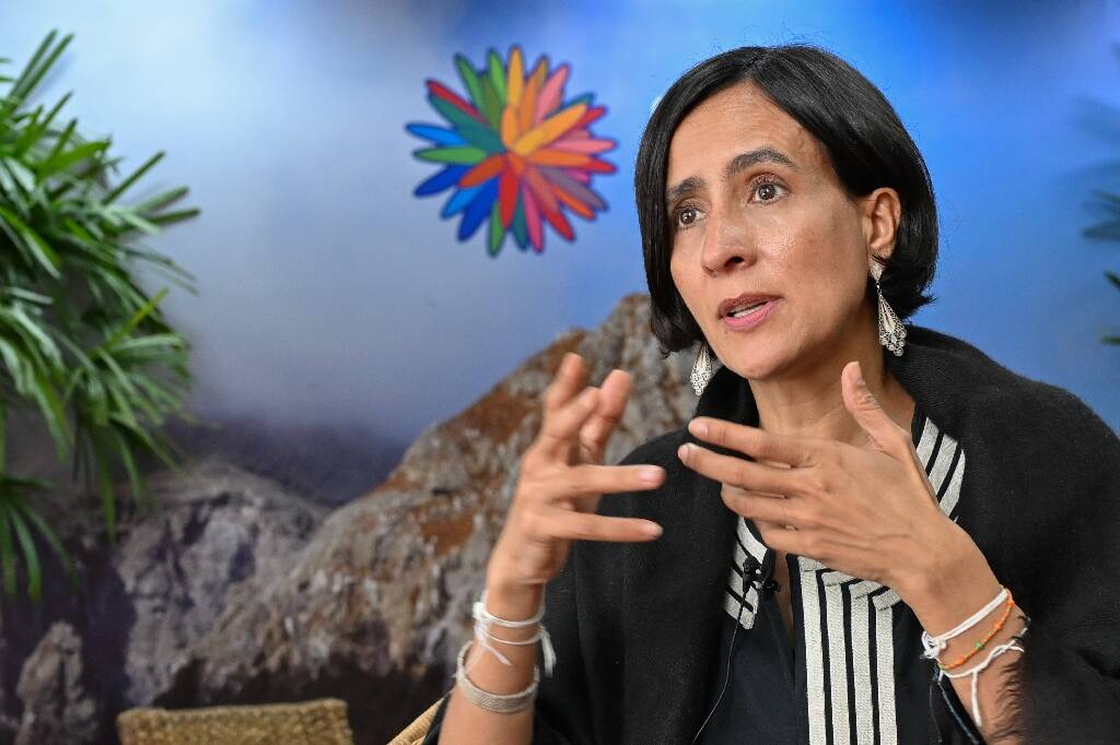 Pour stopper la destruction du vivant d'ici 2030: la présidence colombienne promet un final "palpitant" à la COP16 biodiversité