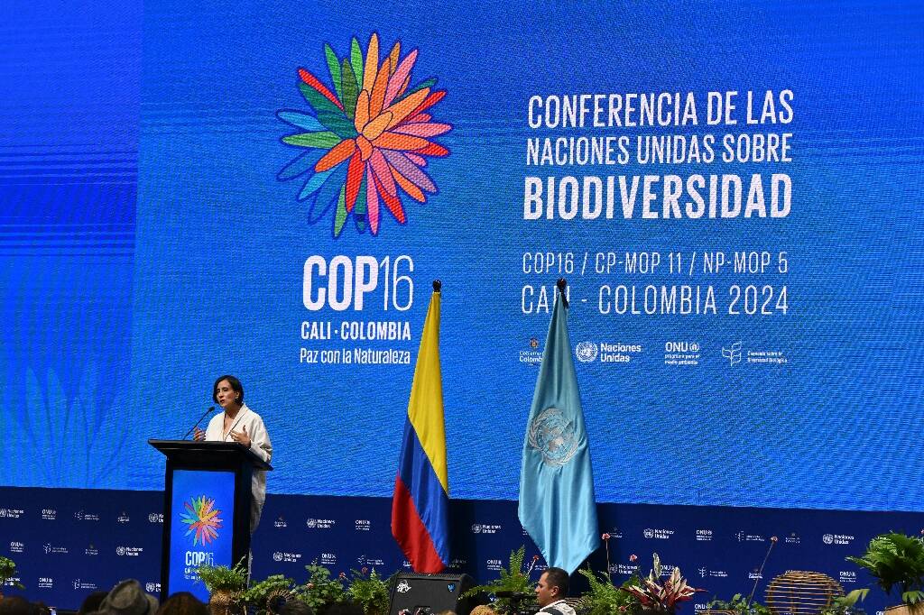 Biodiversité: en Colombie, une COP16 pour "passer de la parole aux actes"