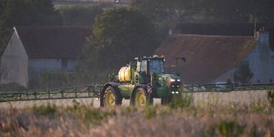 Les maires interdits de prendre des arrêtés anti-pesticides selon le Conseil d'Etat