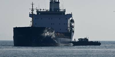 Céréales ukrainiennes: les exportations ont repris en mer Noire après le retrait russe