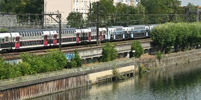 Corps retrouvés dans la Seine à Choisy-le-Roi: un homme en garde à vue pour meurtres