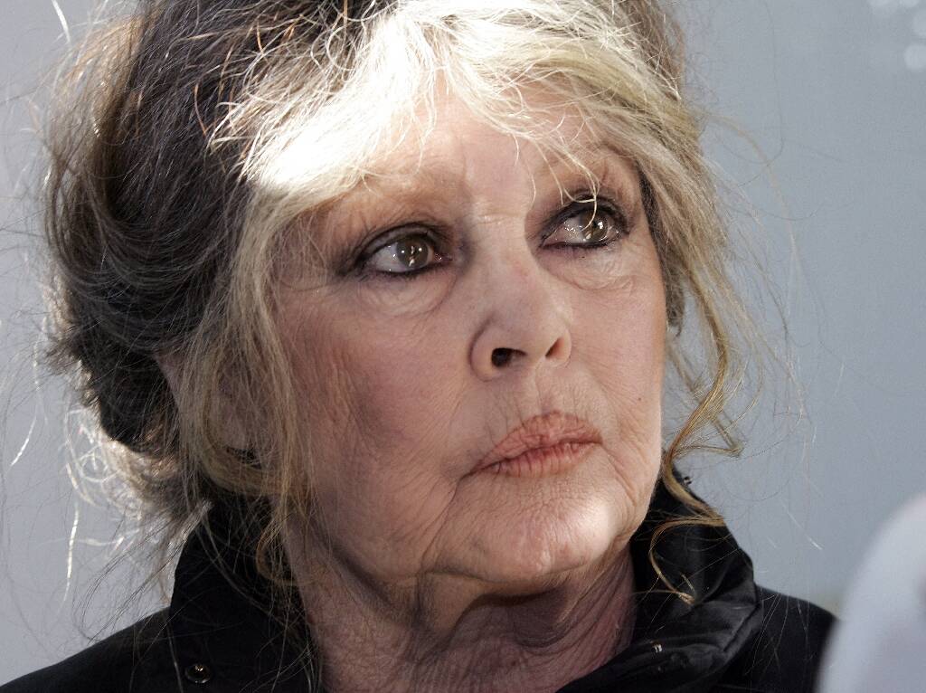 "Rien n'arrête jamais les chasseurs": Brigitte Bardot dénonce un "massacre" des chamois dans le Doubs