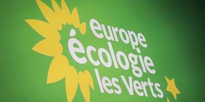 EELV change de nom et lance son mouvement Les Ecologistes