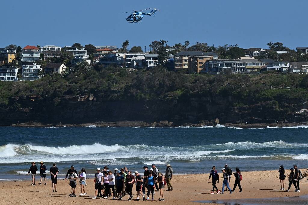 Un surfeur tué par un "grand requin" sur une plage de Sydney en Australie, la première attaque dans la ville depuis 2022