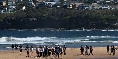 Un surfeur tué par un "grand requin" sur une plage de Sydney en Australie, la première attaque dans la ville depuis 2022