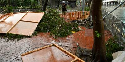 Arbres arrachés, vitres brisées, évacuations... Le typhon Saola touche terre en Chine et fait de nombreux dégâts