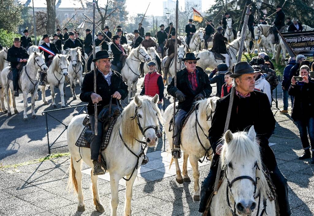 Les mondes de la tauromachie et de la