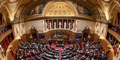 Une proposition de loi visant à lutter contre les ingérences étrangères examinée au Sénat