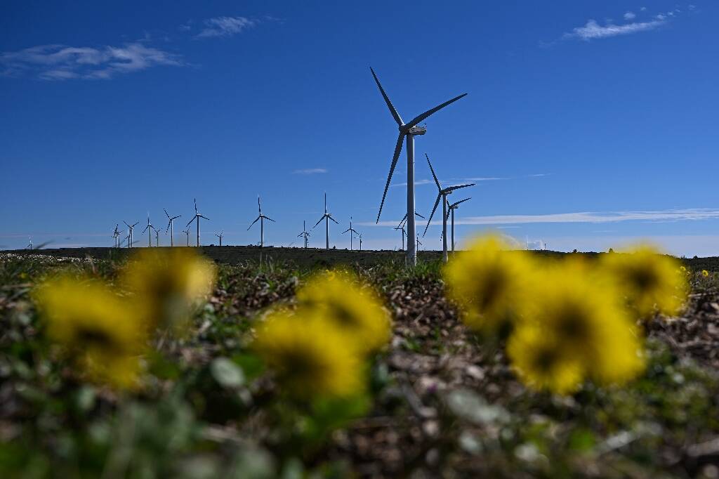 Hérault: des éoliennes sur le banc des accusés pour la mort d'oiseaux protégés