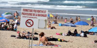 Une micro-algue toxique apparaît sur les plages de la Côte basque française