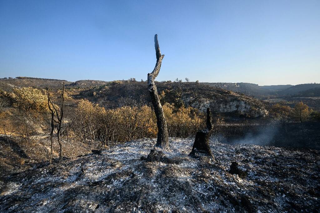 Le gigantesque incendie de l'Aude est sous contrôle mais il n'est pas encore éteint et "ne sera pas maîtrisé avant dimanche soir"