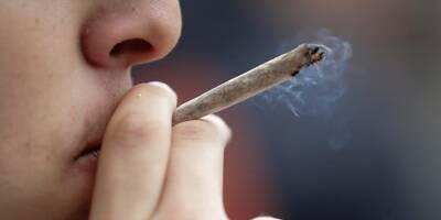 Le cannabis demeure la drogue la plus consommée en France, selon une étude